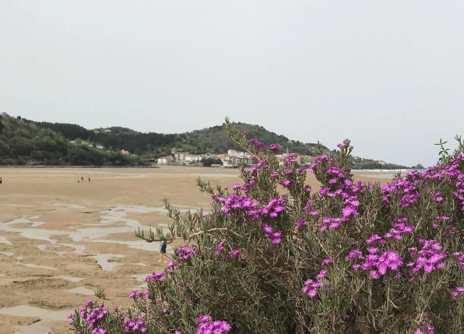 Maison Laida Ibarrangelu Apartamento